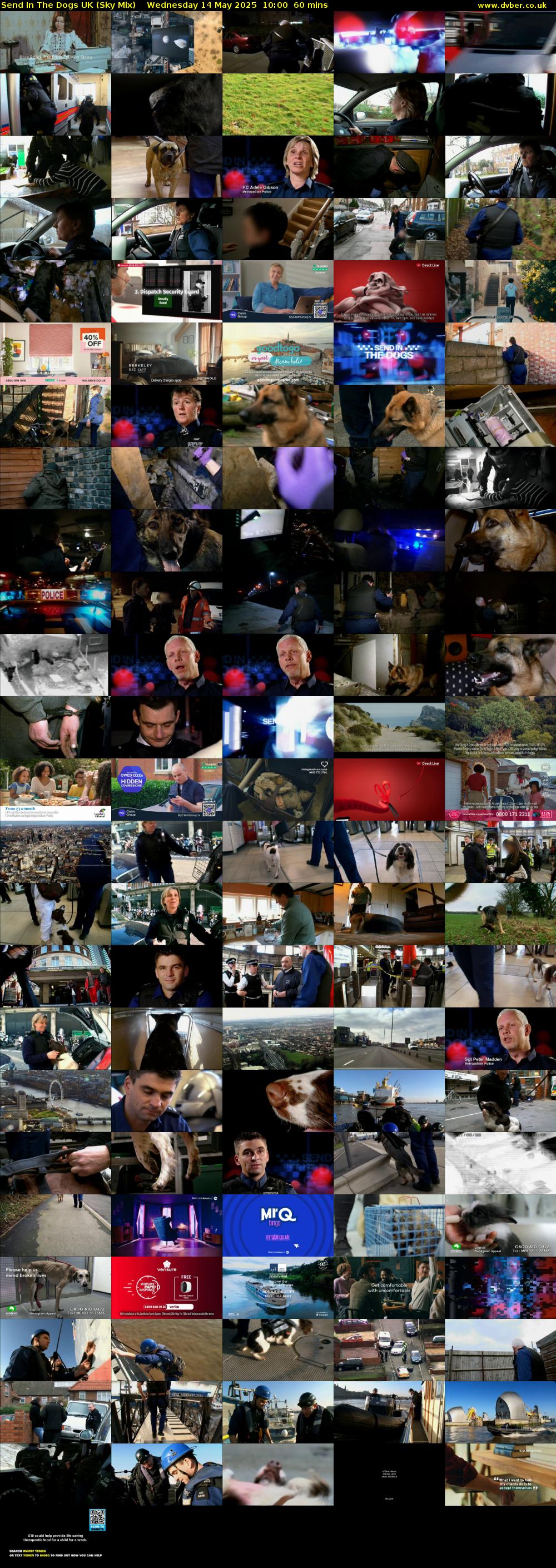 Send In The Dogs UK (Sky Mix) Wednesday 14 May 2025 10:00 - 11:00