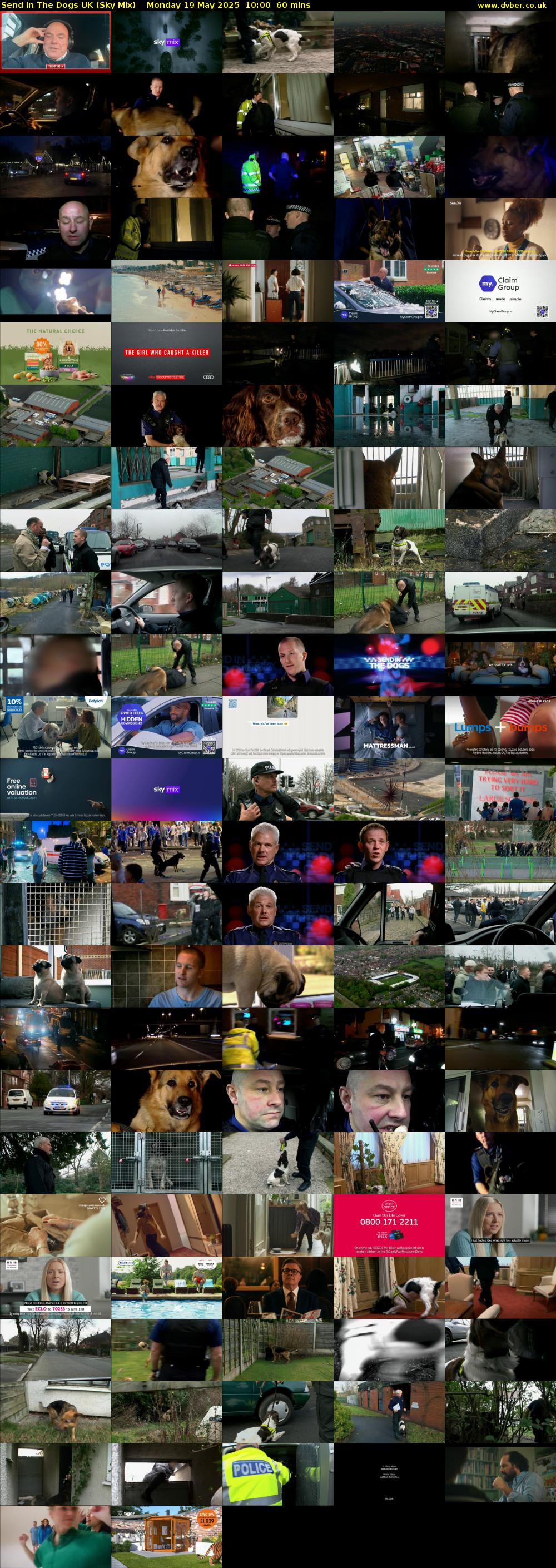 Send In The Dogs UK (Sky Mix) Monday 19 May 2025 10:00 - 11:00