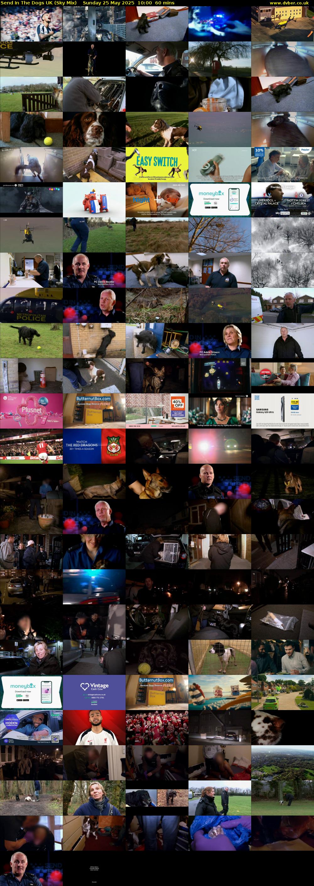 Send In The Dogs UK (Sky Mix) Sunday 25 May 2025 10:00 - 11:00