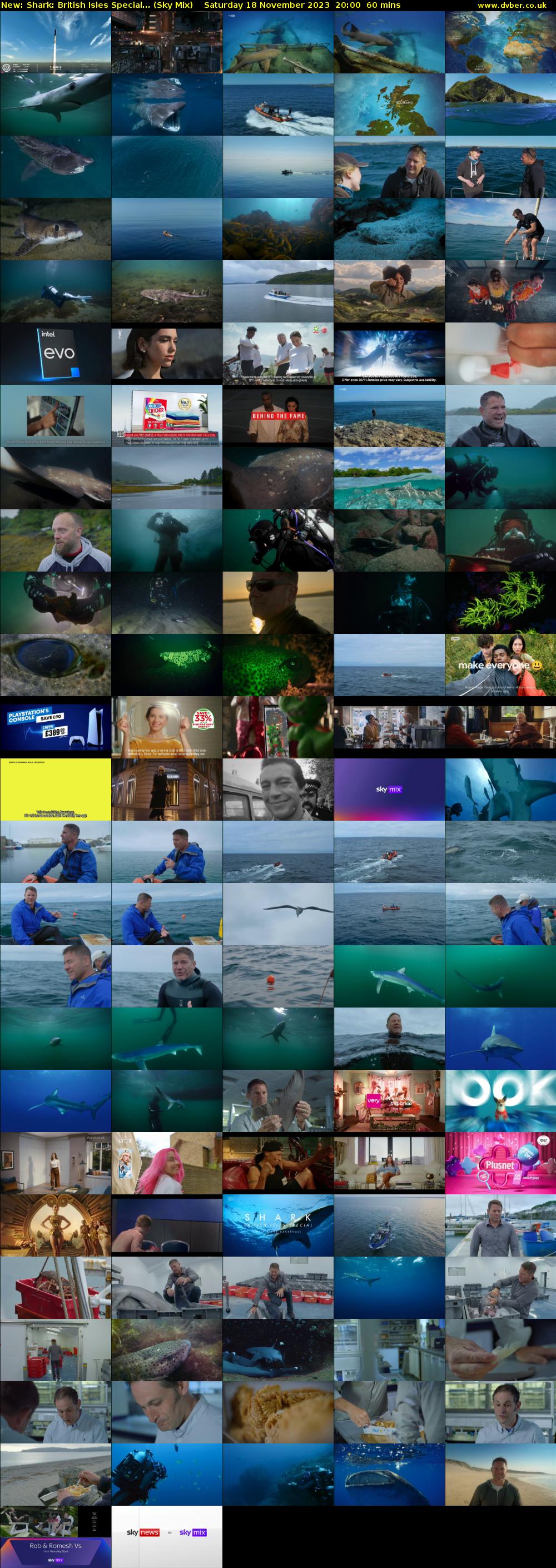 Shark: British Isles Special... (Sky Mix) Saturday 18 November 2023 20:00 - 21:00