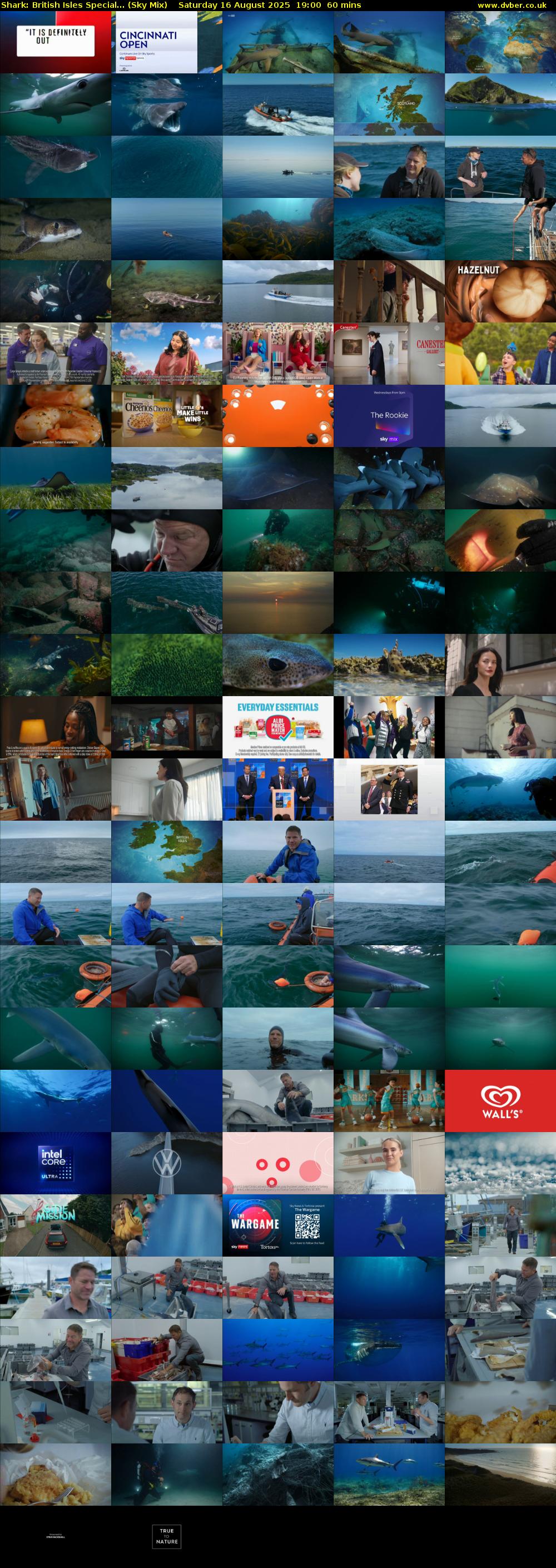 Shark: British Isles Special... (Sky Mix) Saturday 16 August 2025 19:00 - 20:00