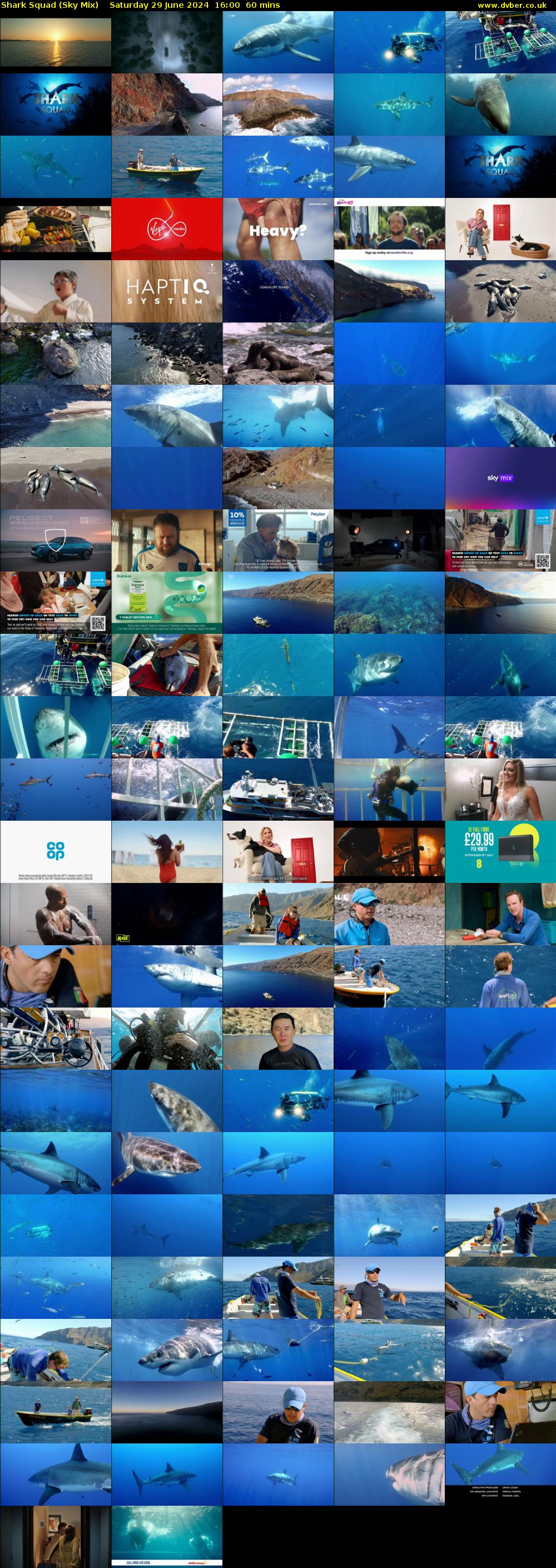 Shark Squad (Sky Mix) Saturday 29 June 2024 16:00 - 17:00