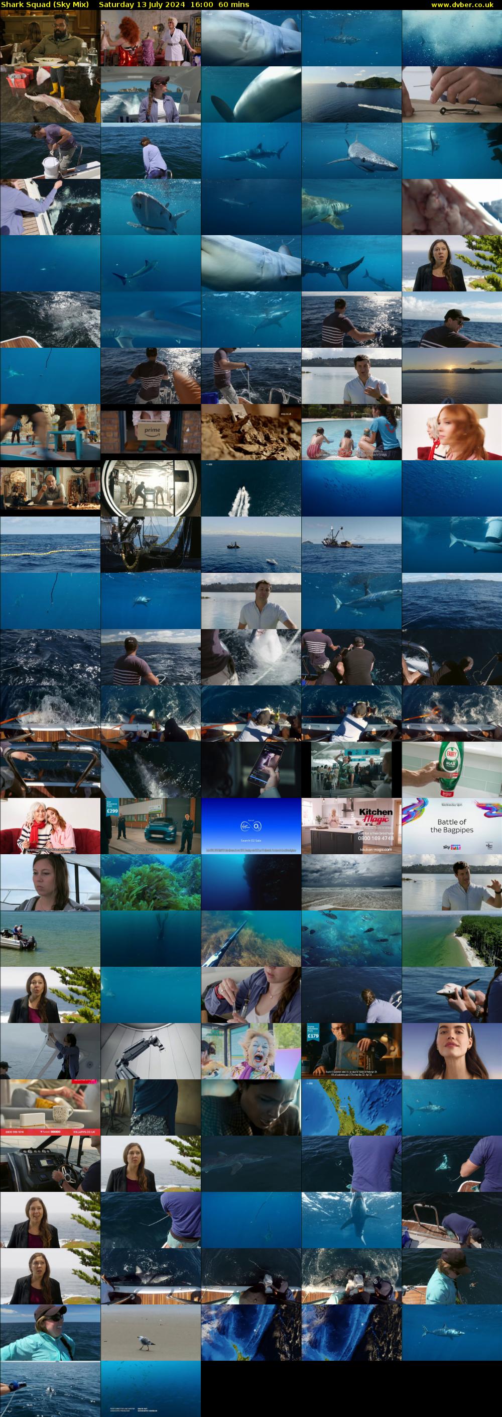 Shark Squad (Sky Mix) Saturday 13 July 2024 16:00 - 17:00