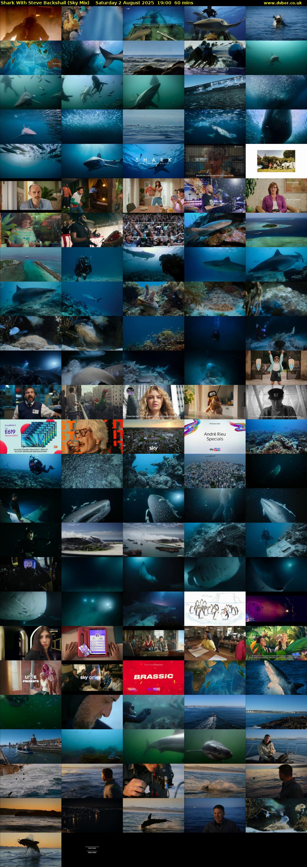 Shark With Steve Backshall (Sky Mix) Saturday 2 August 2025 19:00 - 20:00