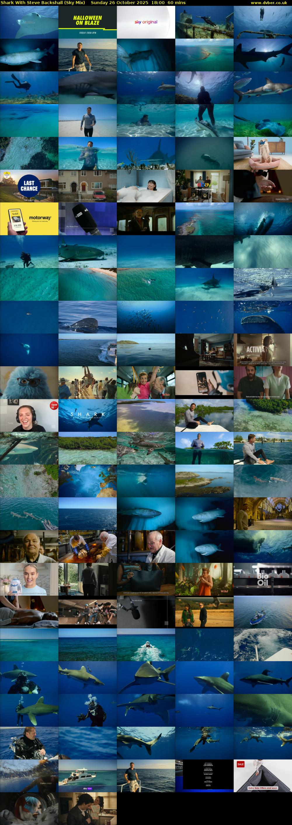 Shark With Steve Backshall (Sky Mix) Sunday 26 October 2025 18:00 - 19:00