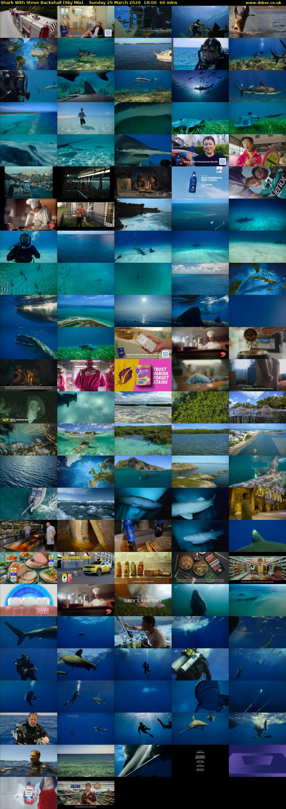 Shark With Steve Backshall (Sky Mix) Sunday 29 March 2026 18:00 - 19:00