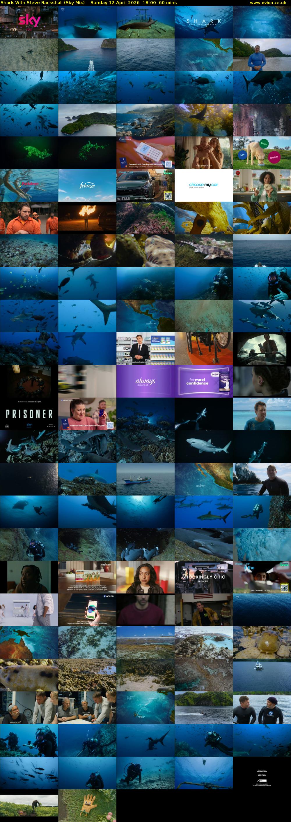 Shark With Steve Backshall (Sky Mix) Sunday 12 April 2026 18:00 - 19:00