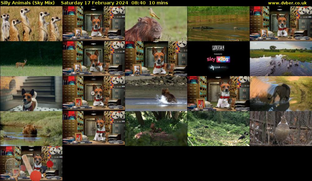 Silly Animals (Sky Mix) Saturday 17 February 2024 08:40 - 08:50