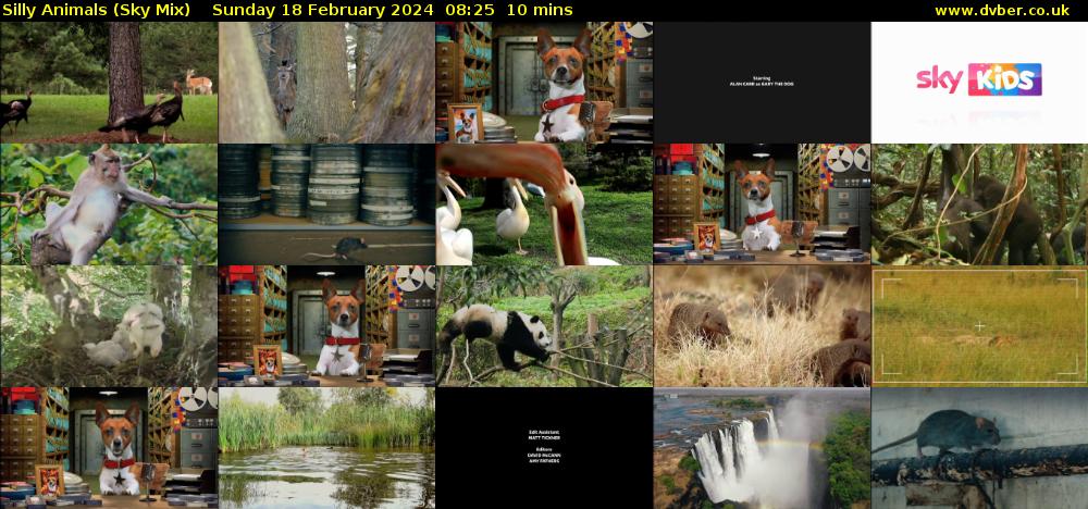 Silly Animals (Sky Mix) Sunday 18 February 2024 08:25 - 08:35