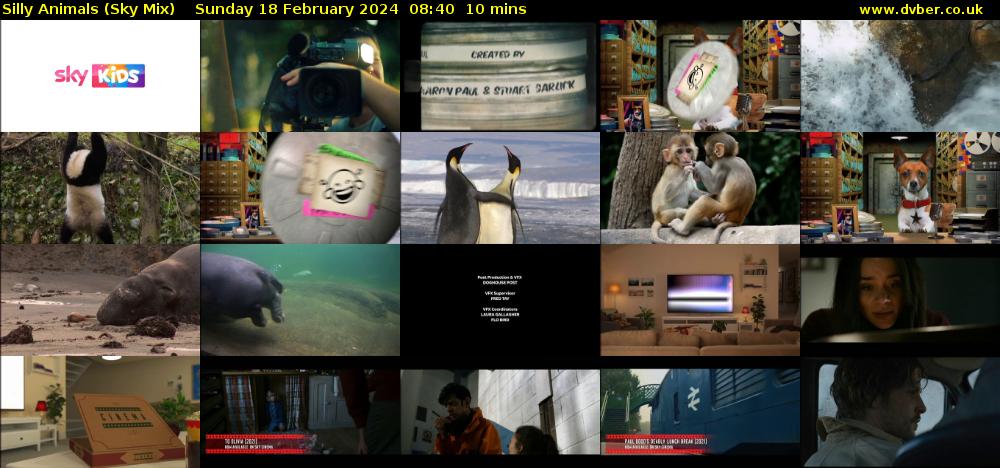 Silly Animals (Sky Mix) Sunday 18 February 2024 08:40 - 08:50