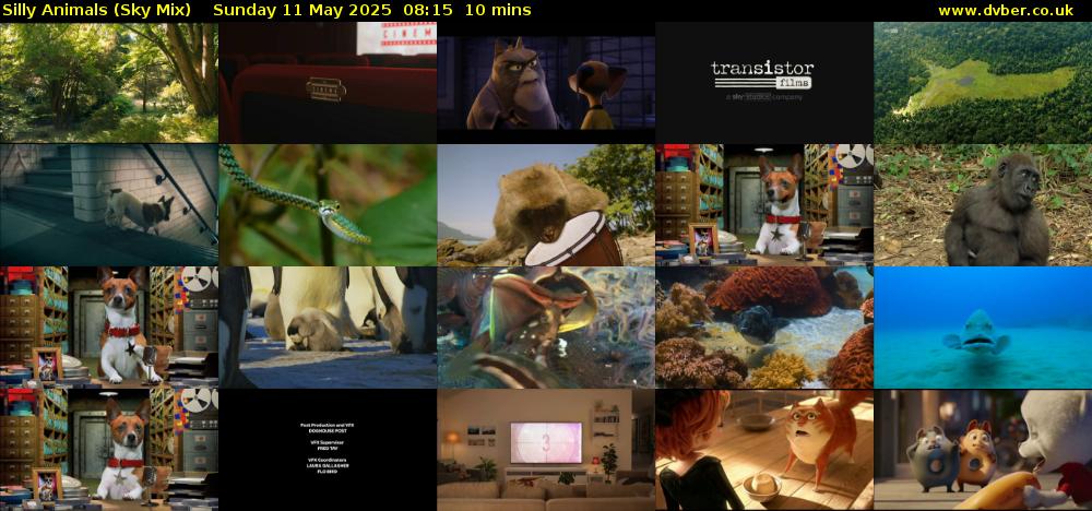 Silly Animals (Sky Mix) Sunday 11 May 2025 08:15 - 08:25