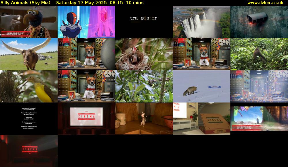 Silly Animals (Sky Mix) Saturday 17 May 2025 08:15 - 08:25