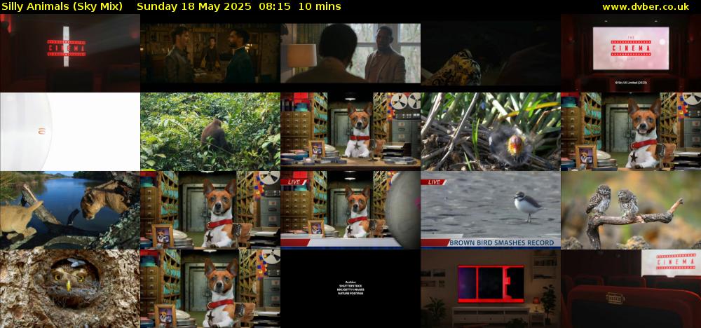 Silly Animals (Sky Mix) Sunday 18 May 2025 08:15 - 08:25