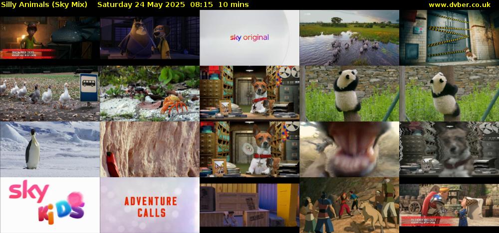 Silly Animals (Sky Mix) Saturday 24 May 2025 08:15 - 08:25