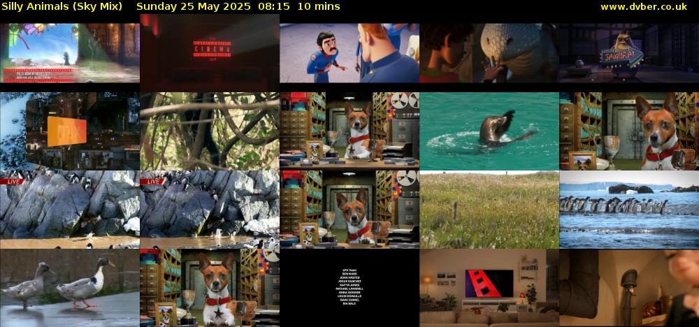 Silly Animals (Sky Mix) Sunday 25 May 2025 08:15 - 08:25