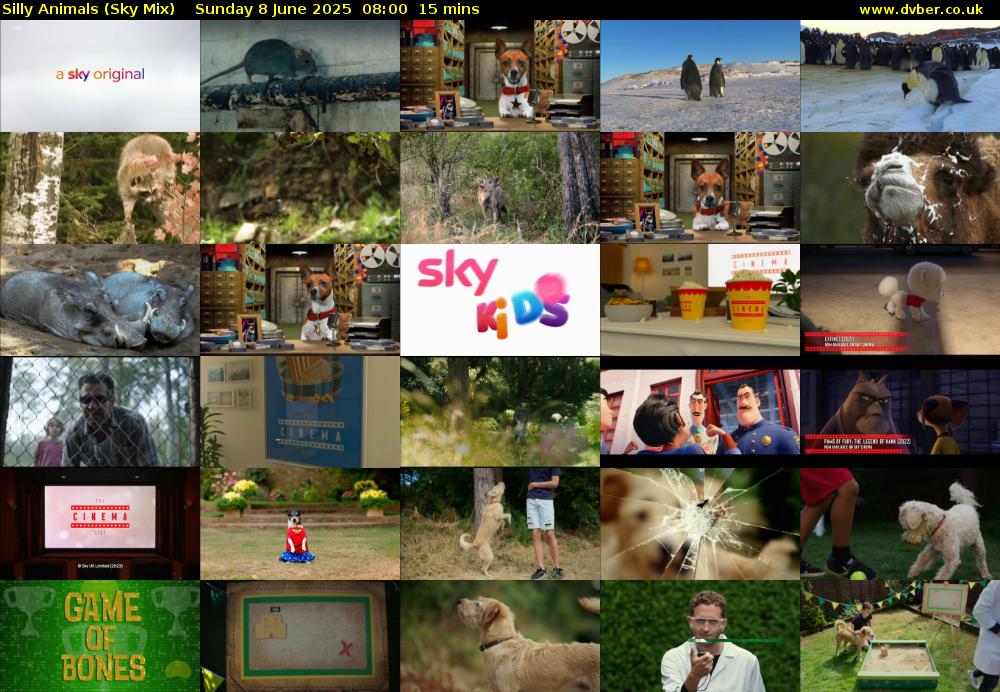 Silly Animals (Sky Mix) Sunday 8 June 2025 08:00 - 08:15