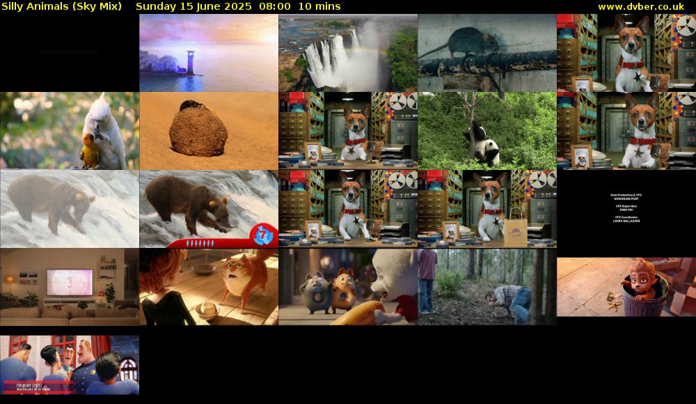 Silly Animals (Sky Mix) Sunday 15 June 2025 08:00 - 08:10