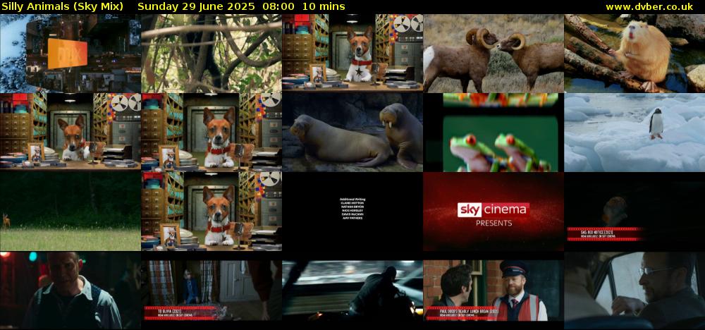 Silly Animals (Sky Mix) Sunday 29 June 2025 08:00 - 08:10