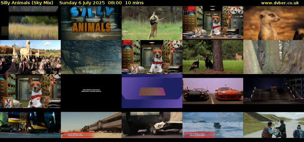 Silly Animals (Sky Mix) Sunday 6 July 2025 08:00 - 08:10
