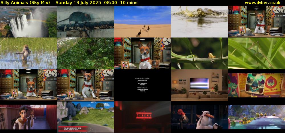Silly Animals (Sky Mix) Sunday 13 July 2025 08:00 - 08:10