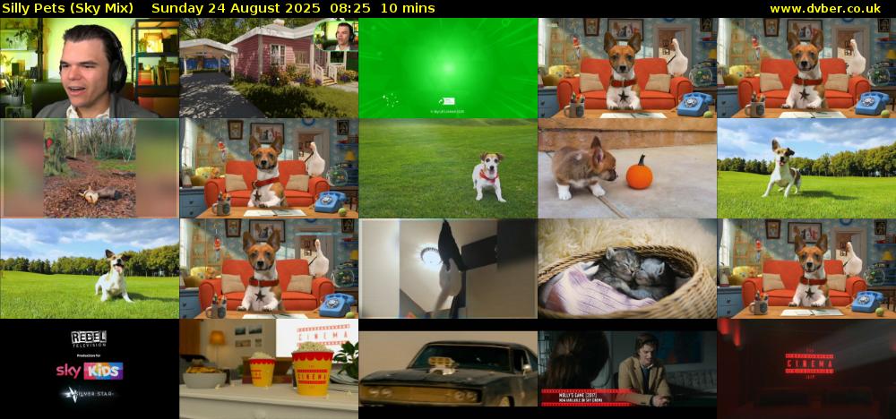 Silly Pets (Sky Mix) Sunday 24 August 2025 08:25 - 08:35