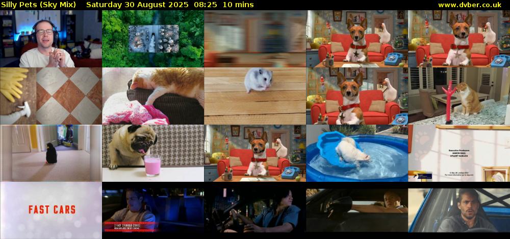 Silly Pets (Sky Mix) Saturday 30 August 2025 08:25 - 08:35
