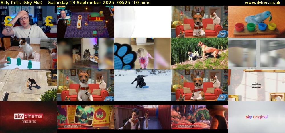 Silly Pets (Sky Mix) Saturday 13 September 2025 08:25 - 08:35