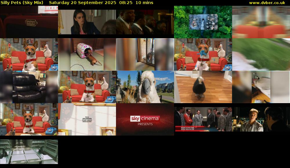 Silly Pets (Sky Mix) Saturday 20 September 2025 08:25 - 08:35