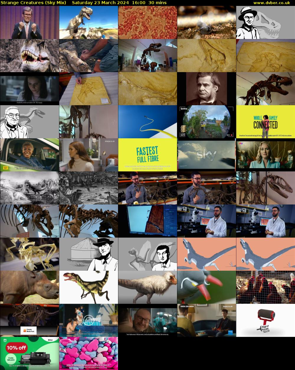 Strange Creatures (Sky Mix) Saturday 23 March 2024 16:00 - 16:30