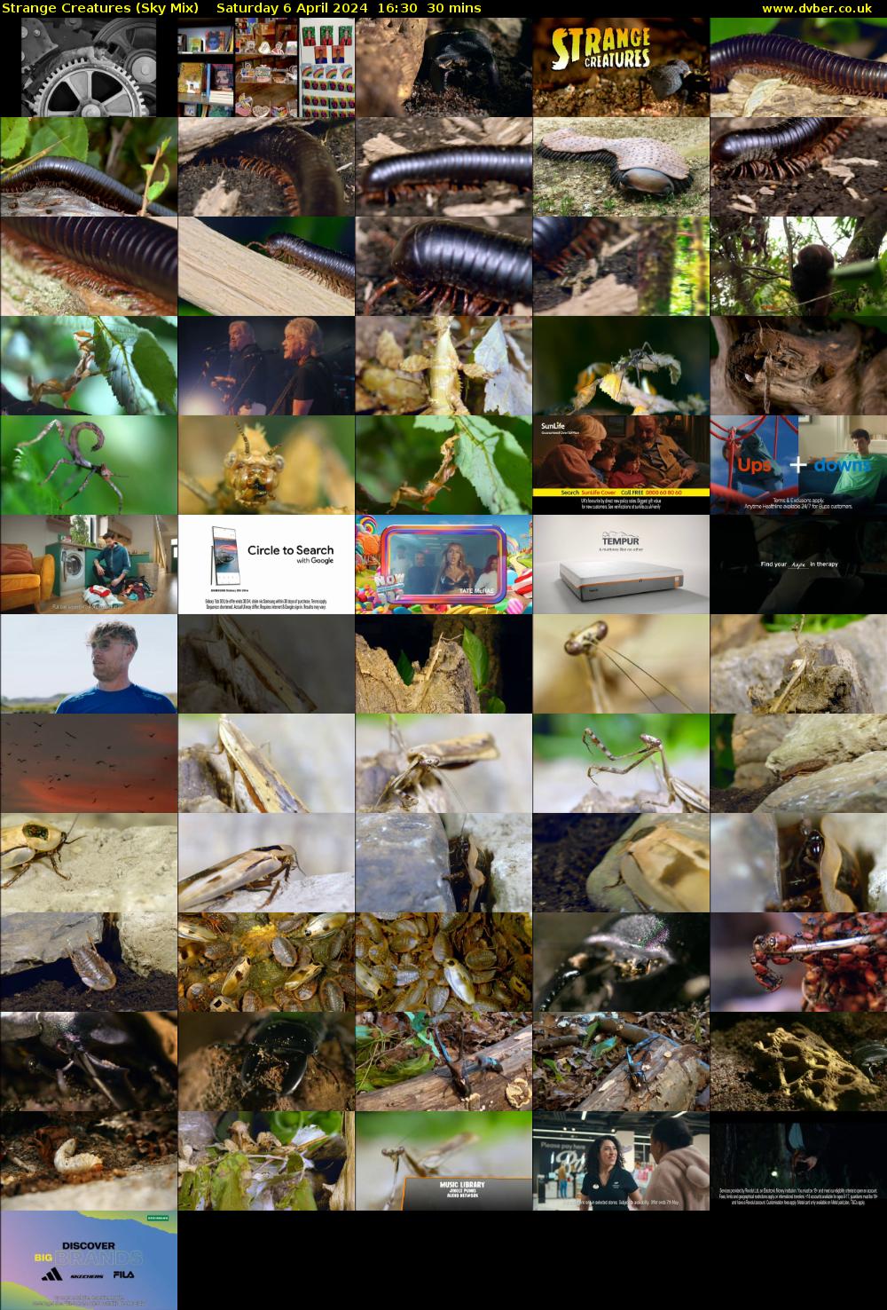 Strange Creatures (Sky Mix) Saturday 6 April 2024 16:30 - 17:00