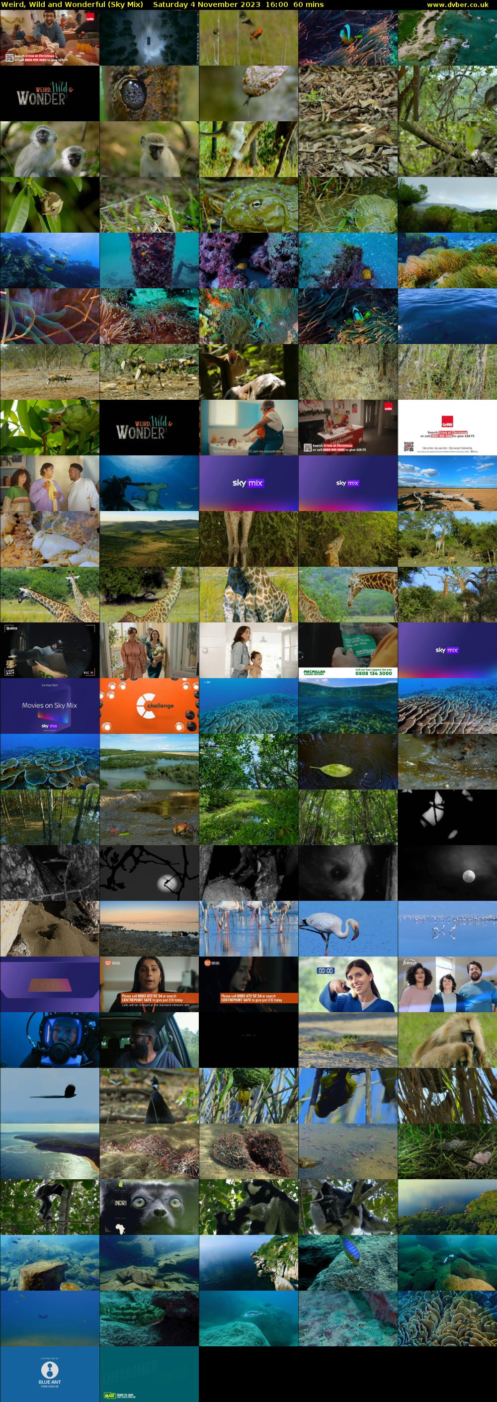 Weird, Wild and Wonderful (Sky Mix) Saturday 4 November 2023 16:00 - 17:00