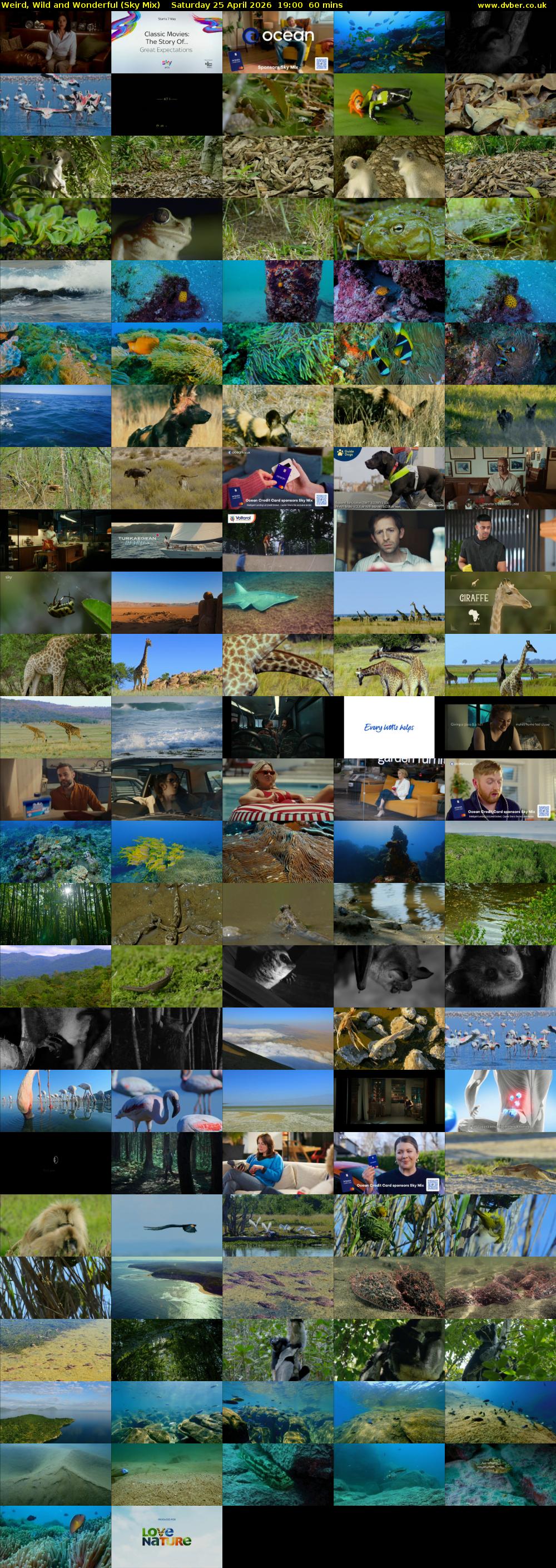 Weird, Wild and Wonderful (Sky Mix) Saturday 25 April 2026 19:00 - 20:00