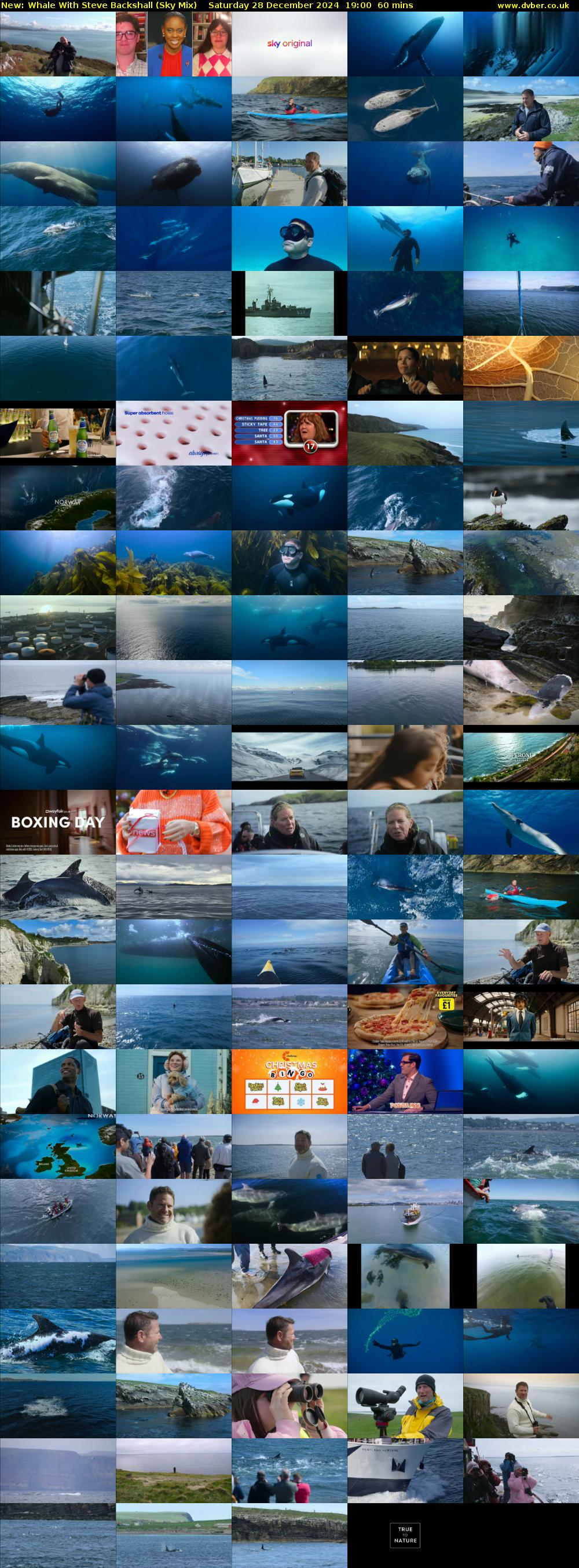 Whale With Steve Backshall (Sky Mix) Saturday 28 December 2024 19:00 - 20:00