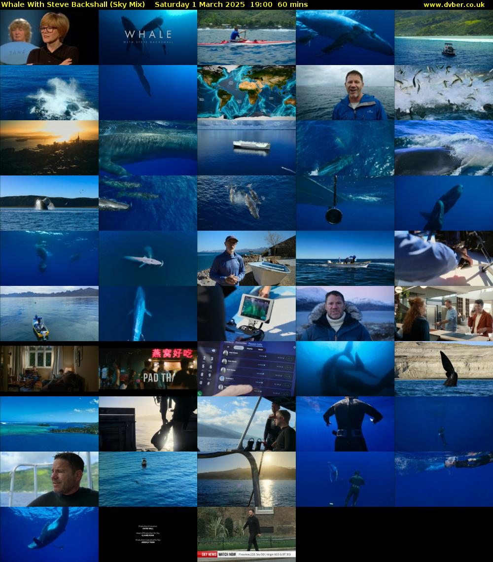Whale With Steve Backshall (Sky Mix) Saturday 1 March 2025 19:00 - 20:00