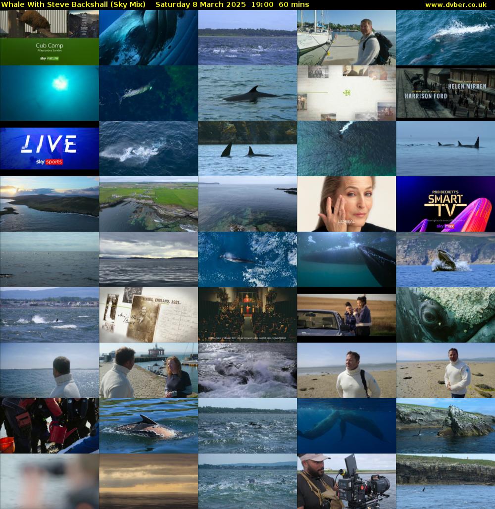 Whale With Steve Backshall (Sky Mix) Saturday 8 March 2025 19:00 - 20:00