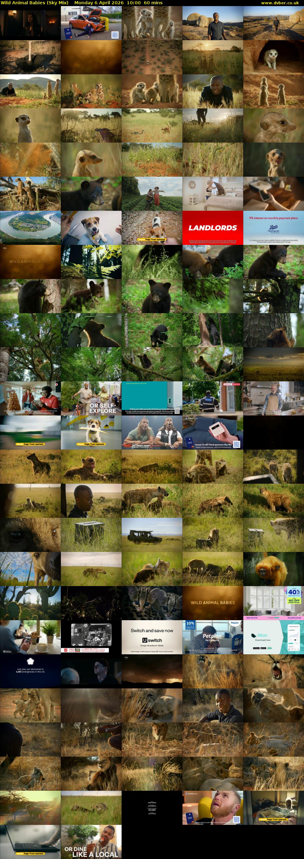 Wild Animal Babies (Sky Mix) Monday 6 April 2026 10:00 - 11:00