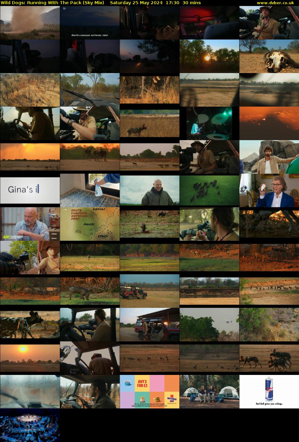 Wild Dogs: Running With The Pack (Sky Mix) Saturday 25 May 2024 17:30 - 18:00