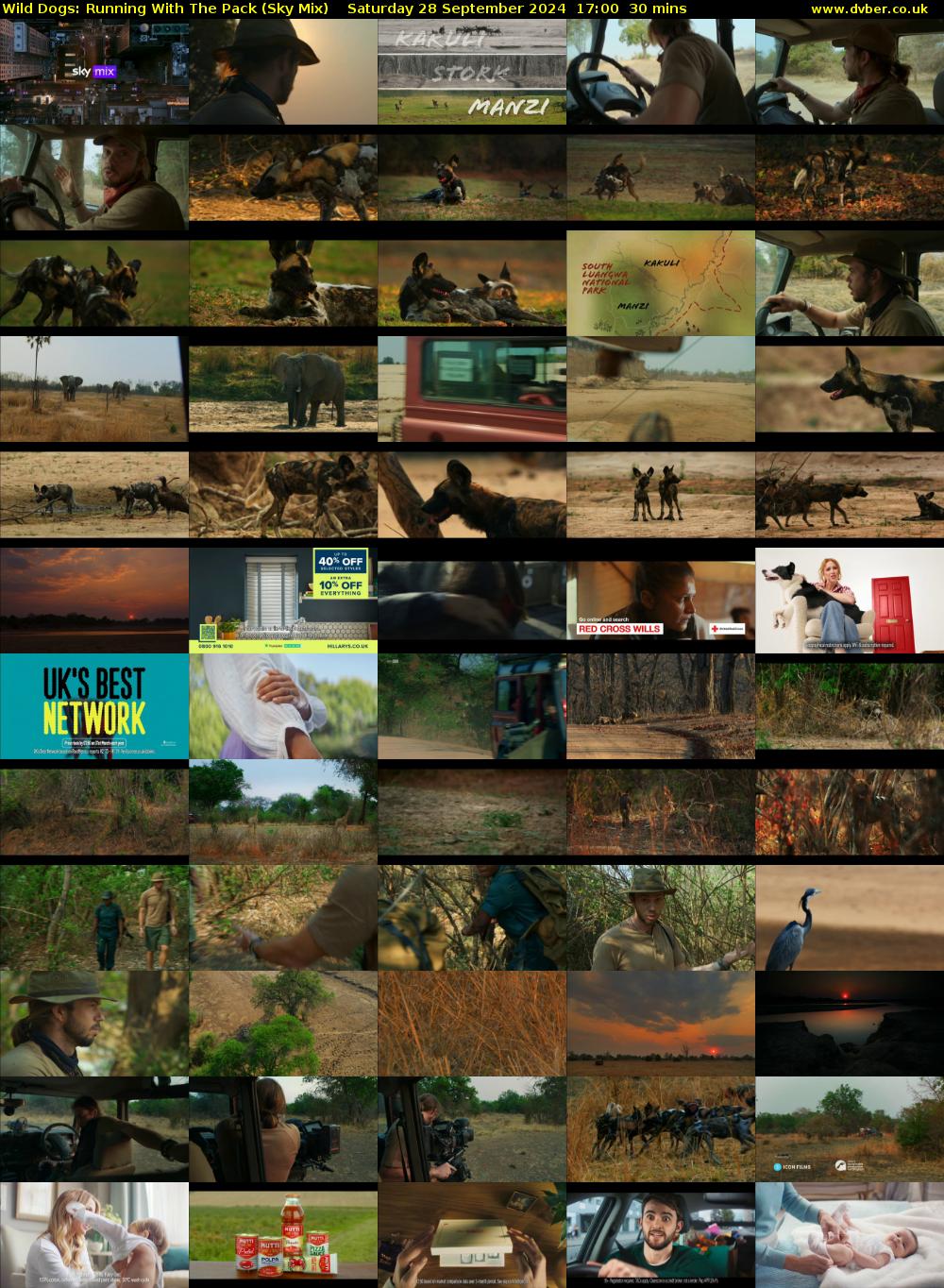 Wild Dogs: Running With The Pack (Sky Mix) Saturday 28 September 2024 17:00 - 17:30