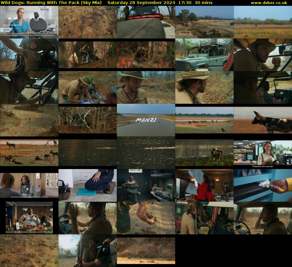 Wild Dogs: Running With The Pack (Sky Mix) Saturday 28 September 2024 17:30 - 18:00