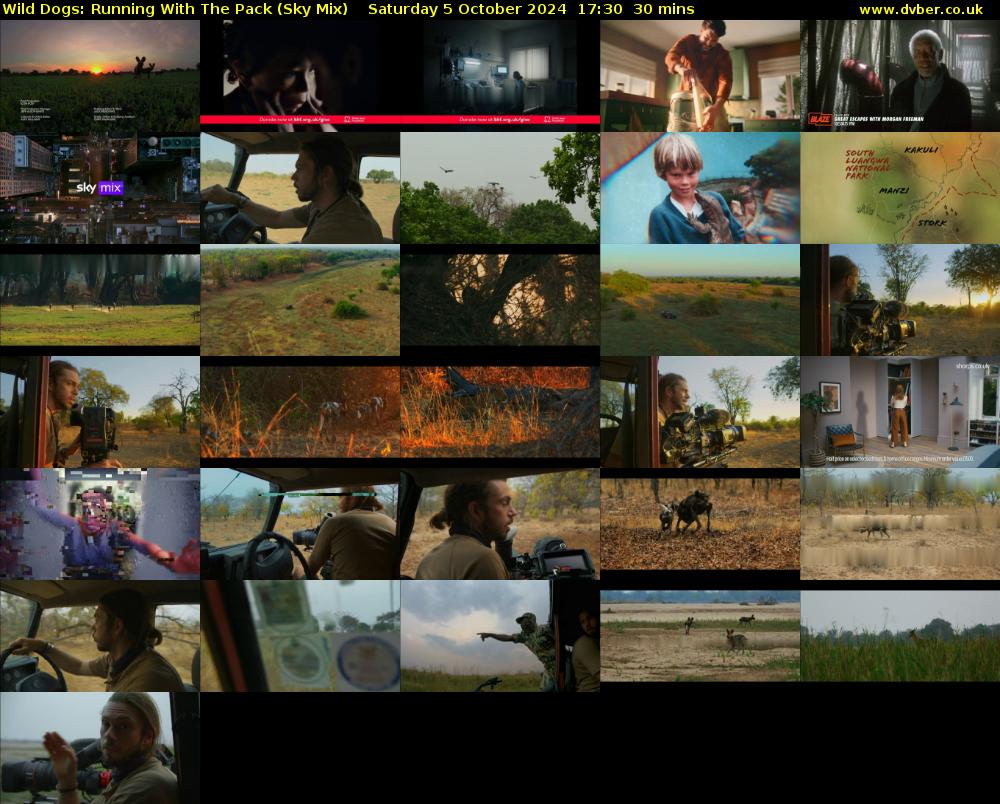 Wild Dogs: Running With The Pack (Sky Mix) Saturday 5 October 2024 17:30 - 18:00