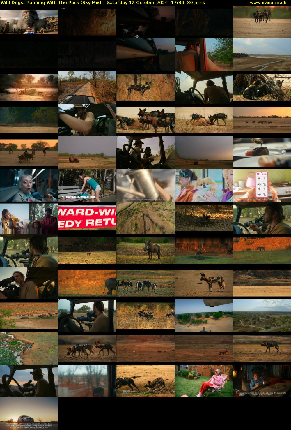 Wild Dogs: Running With The Pack (Sky Mix) Saturday 12 October 2024 17:30 - 18:00