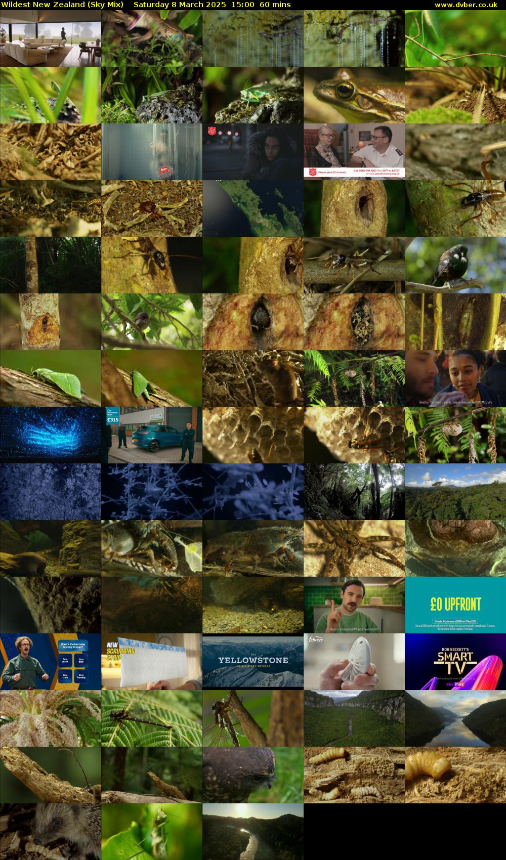 Wildest New Zealand (Sky Mix) Saturday 8 March 2025 15:00 - 16:00