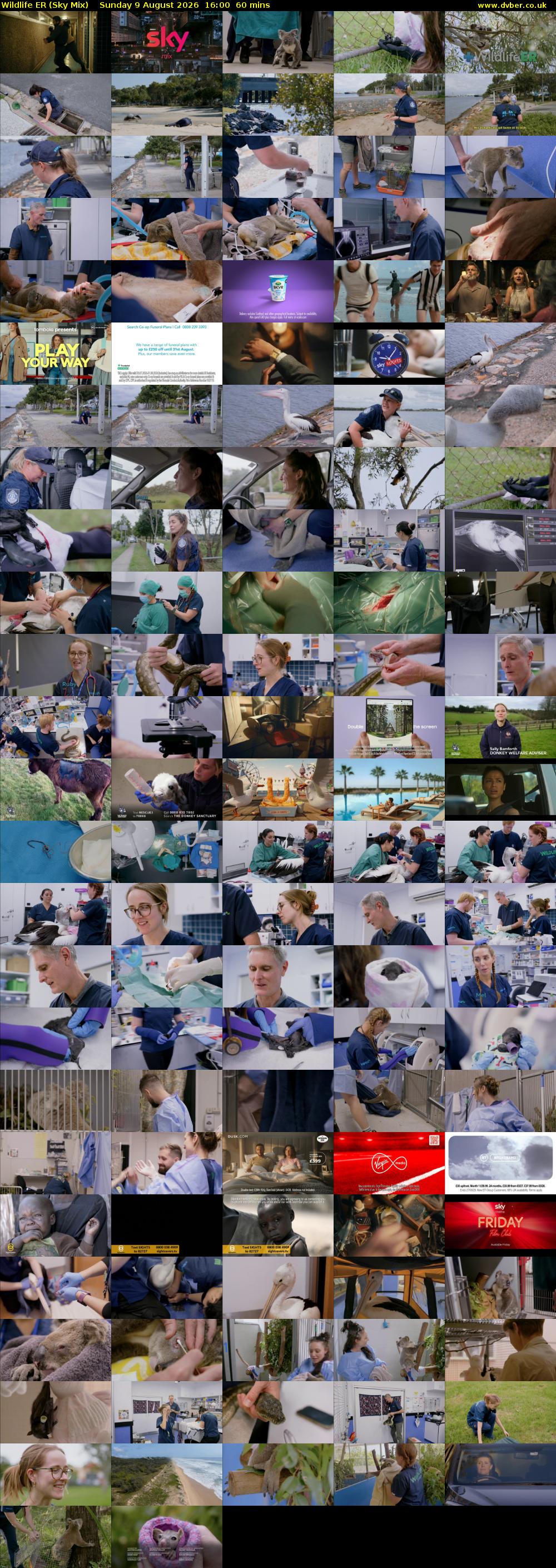 Wildlife ER (Sky Mix) Sunday 9 August 2026 16:00 - 17:00
