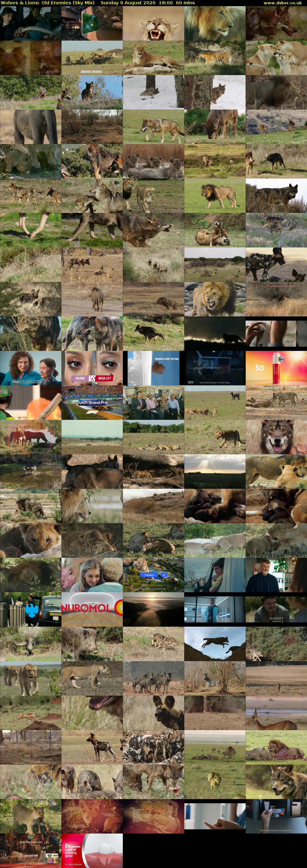 Wolves & Lions: Old Enemies (Sky Mix) Sunday 9 August 2026 18:00 - 19:00