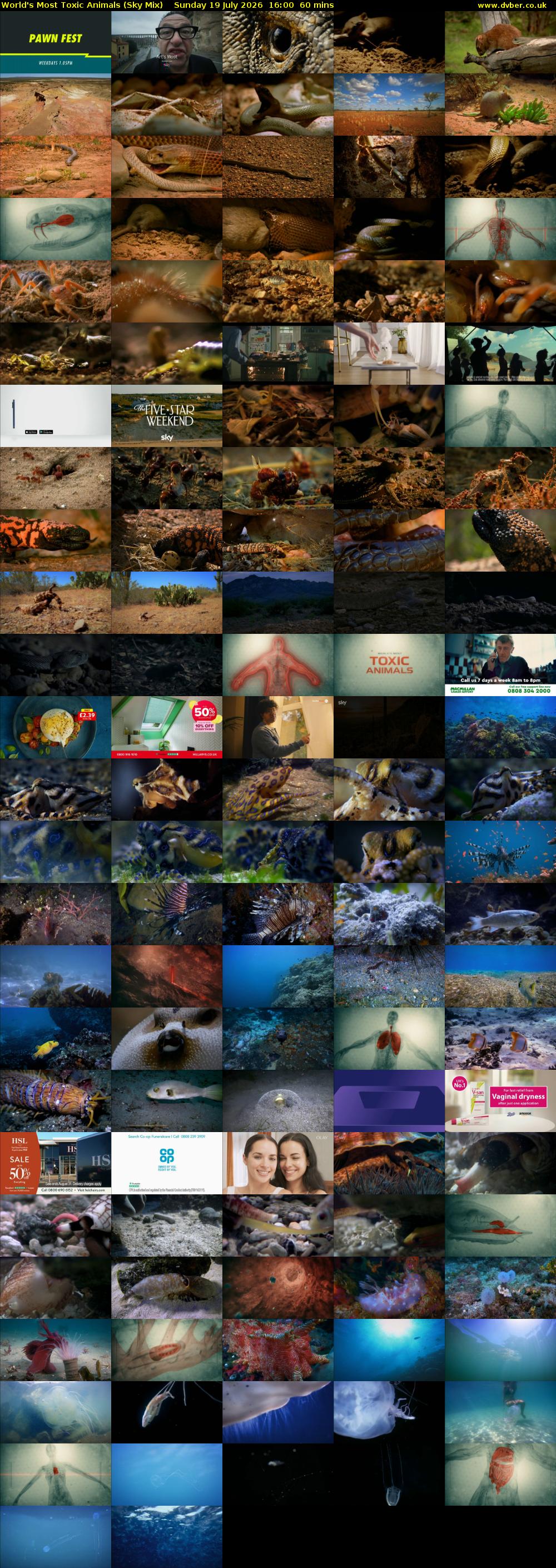 World's Most Toxic Animals (Sky Mix) Sunday 19 July 2026 16:00 - 17:00