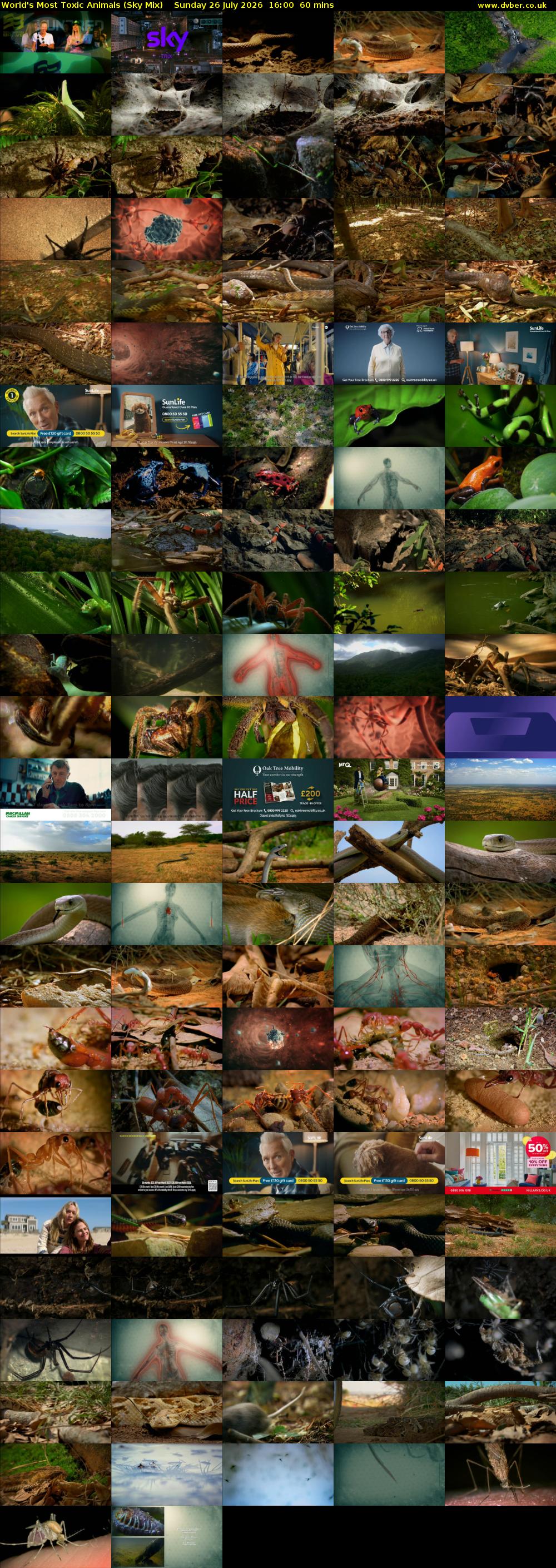 World's Most Toxic Animals (Sky Mix) Sunday 26 July 2026 16:00 - 17:00