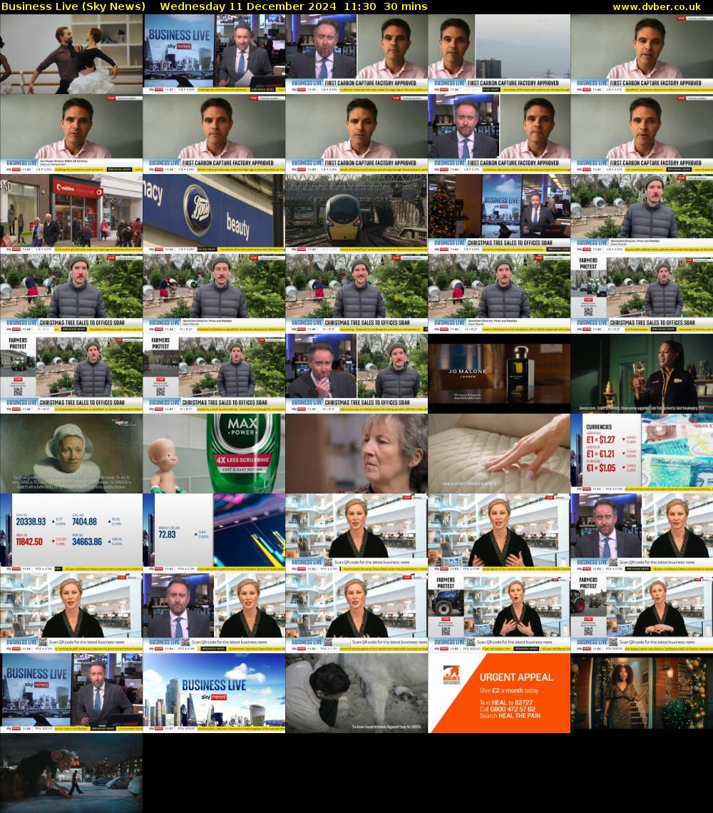 Business Live (Sky News) Wednesday 11 December 2024 11:30 - 12:00
