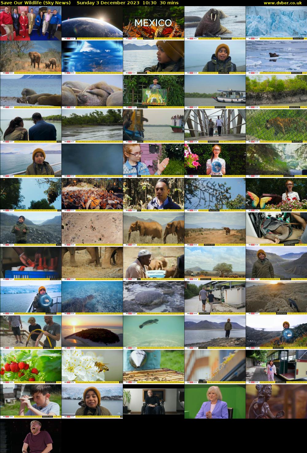 Save Our Wildlife (Sky News) Sunday 3 December 2023 10:30 - 11:00