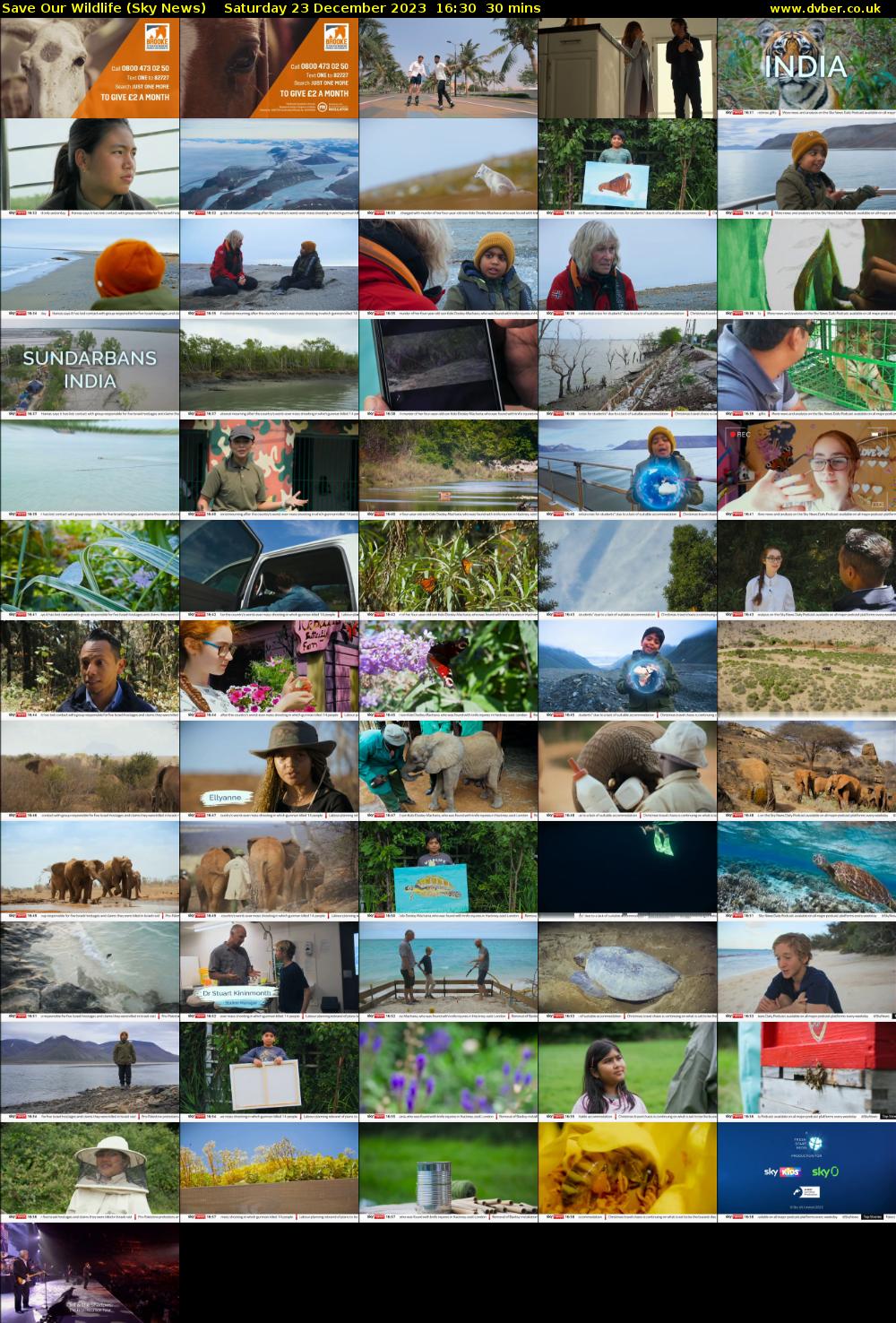 Save Our Wildlife (Sky News) Saturday 23 December 2023 16:30 - 17:00