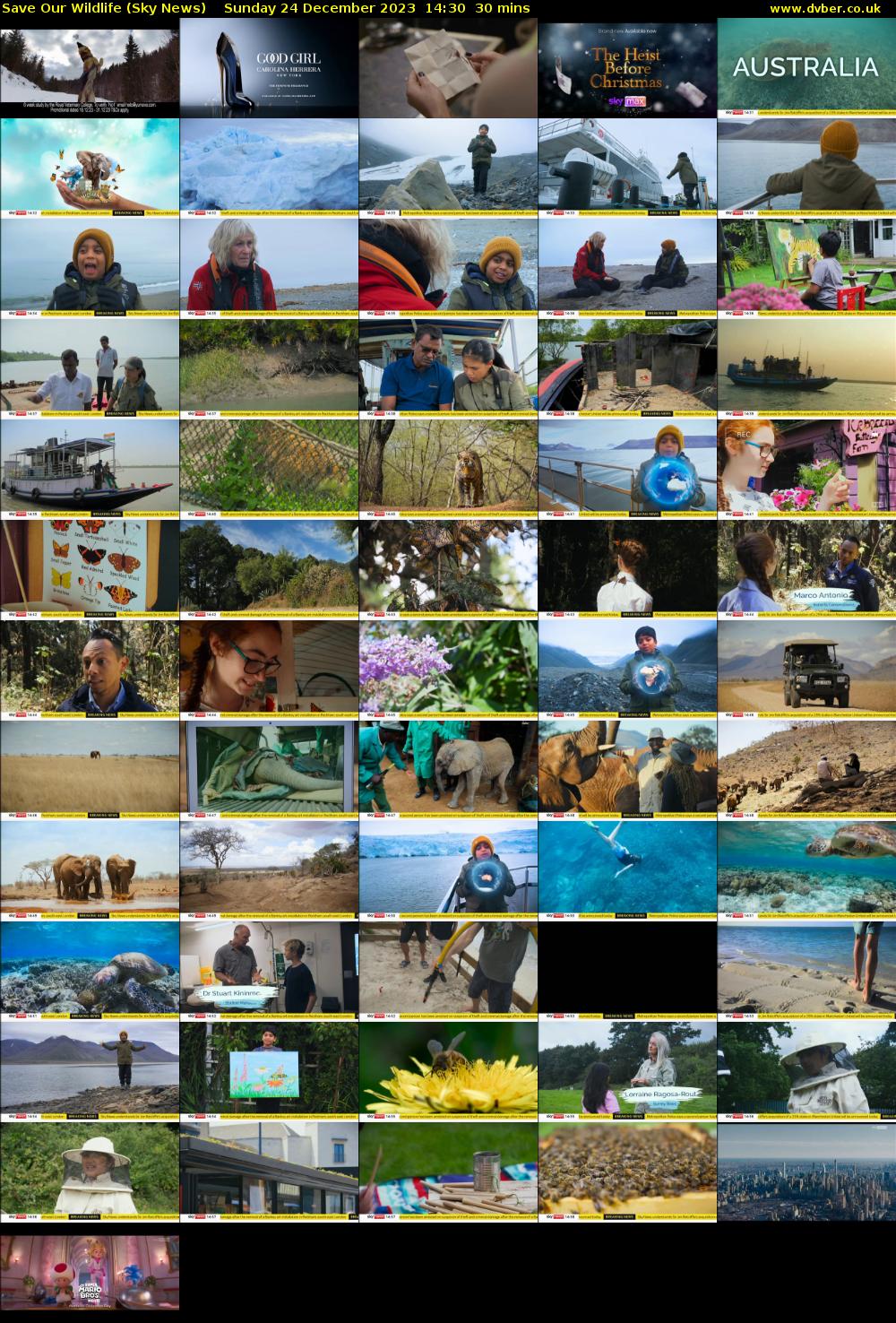 Save Our Wildlife (Sky News) Sunday 24 December 2023 14:30 - 15:00